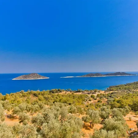 Hotel Gerenlik 1